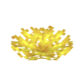 Роговый веерный коралл.png